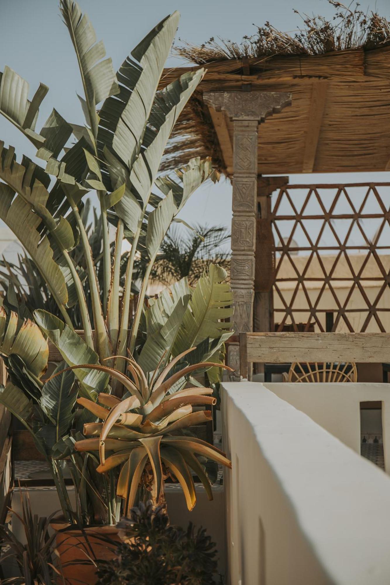 Riad K Marrakesh Eksteriør billede